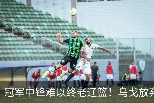冠军中锋难以终老辽篮！乌戈放弃优先续约权，他恐成下一个弗格