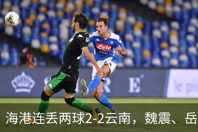 海港连丢两球2-2云南，魏震、岳鑫、奥斯卡、布尼亚明破门