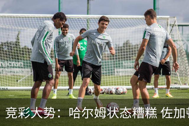 竞彩大势：哈尔姆状态糟糕 佐加顿斯大胜可期