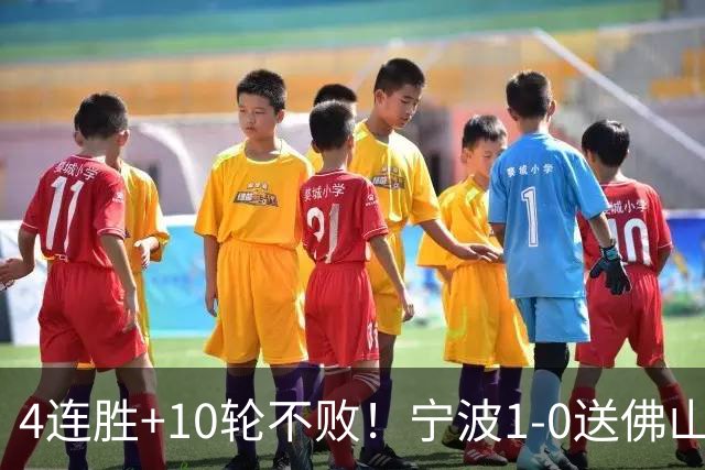 4连胜+10轮不败！宁波1-0送佛山南狮4连败 托莫维奇一条龙制胜
